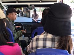 -武陵山森林公园