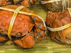 -蟹天蟹地农家菜·阳澄湖大闸蟹(浅水湾店)