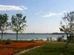 -武清南湖绿博园