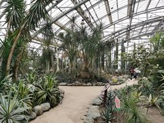 -南山植物园