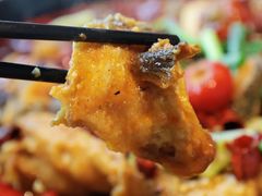 -老板恋上鱼(恒隆广场店)