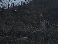 -水峪民俗村