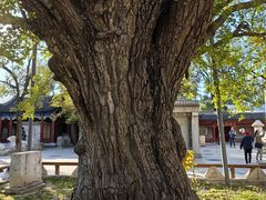 -北京石刻艺术博物馆(五塔寺)