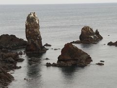 -涉地可支