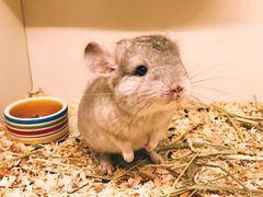 -龙猫仔乐园(惠福东路店)