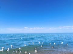 -青海湖国家重点风景名胜区