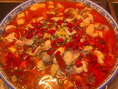 -萧邦音乐会所KTV·蒸汽活海鲜自助(福田店)