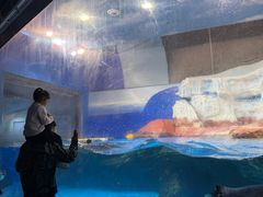 -海合安武汉极地海洋公园