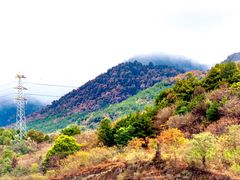 -缙云山景区