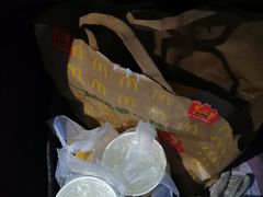 -枫花园汽车电影院(朝阳公园店)