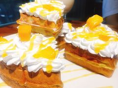 -more than meow吴止猫主题餐厅(承德 中船汇店)