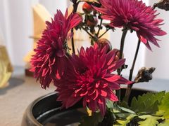 -喜湘宴·精致湖南菜(和平西桥店)