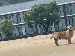 -宁波松兰山滨海旅游度假区