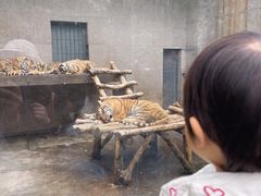 -西安秦岭野生动物园