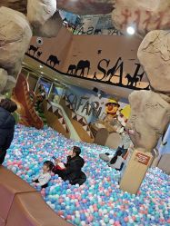 -卡通尼·Safari非洲探索乐园·生日会(金桥国际商业广场店)