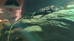 -Zoolung Zoolung动物主题公园(海信广场店)