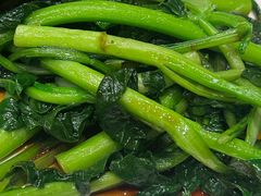 白灼广东菜心-古南都·老广东酒楼(龙江店)