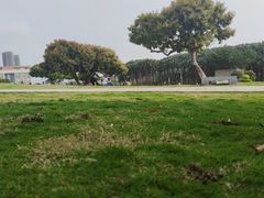 -红花山公园