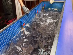 -鱼酷活鱼烤鱼(山西旗舰店)