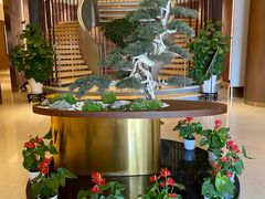 -松鹤楼(狮山永利广场店)