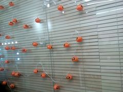 -海马体照相馆(大连罗斯福广场店)