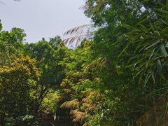 -风云岭森林公园