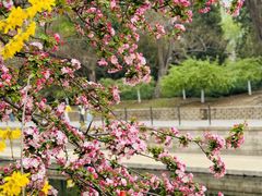 -元大都城垣遗址公园