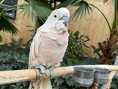 -南宫五洲植物乐园