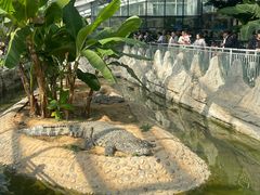 -石家庄市动物园