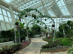-石家庄市植物园