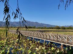 -野鸭湖国家湿地公园