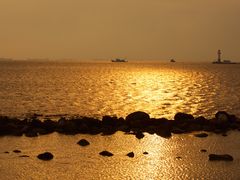 -上海长江河口科技馆