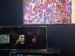 -同济大学四平路校区深海探索馆