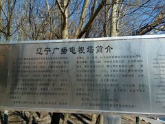 -辽宁电视塔