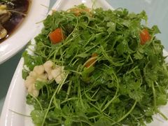 -万源龙顺度假庄园生态观光园