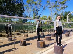 -武清南湖绿博园