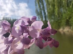 -南翠屏公园
