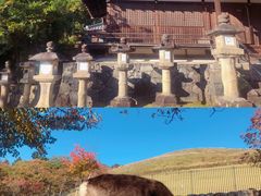 -奈良公园