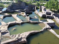 -蛇蟠岛
