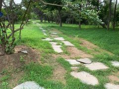 -古塔公园