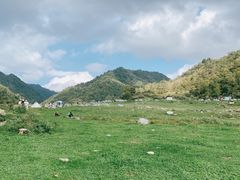 -狮子沟牧场
