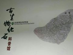 -南通洲际绿博园