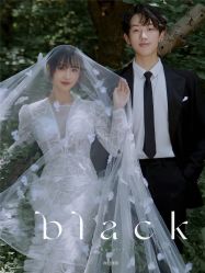 点击看大图 -至臻微拉婚纱摄影