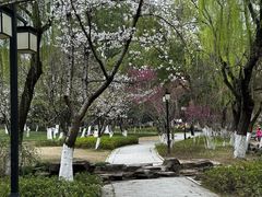 -范蠡湖公园