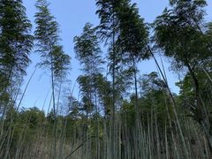 -会稽山峡洞漂流-上青古道