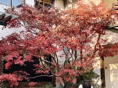 -中国茶叶博物馆(双峰馆区)