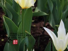 -长春公园(普阳街道)