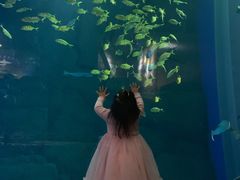 -成都浩海立方海洋公园