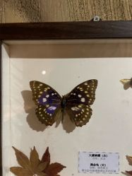 -Zoolung Zoolung动物主题公园(海信广场店)