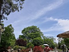 -铁山坪森林公园